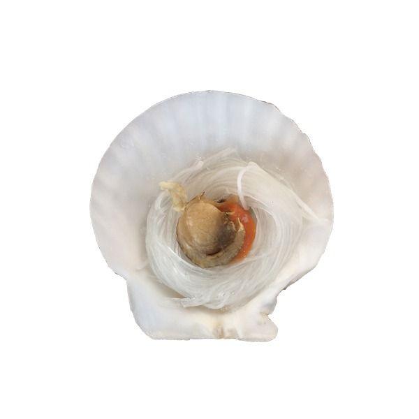 ���ޝO�ی���ؐ���۽z��ؐ��